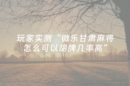 玩家实测“微乐甘肃麻将怎么可以胡牌几率高”（详细透视教程）-哔哩哔哩