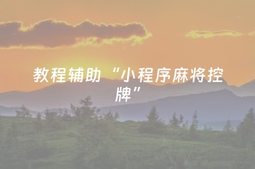 教程辅助“小程序麻将控牌”（详细透视教程）-哔哩哔哩