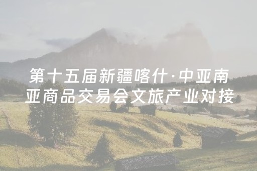 第十五届新疆喀什·中亚南亚商品交易会文旅产业对接会举办 疏勒县两项成果成亮点