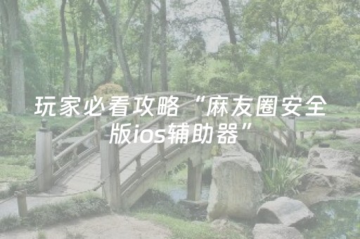 玩家必看攻略“麻友圈安全版ios辅助器”（详细透视教程）-哔哩哔哩