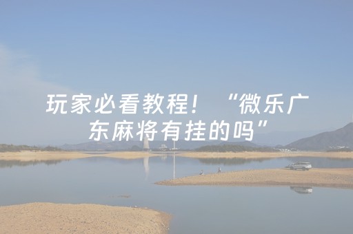 玩家必看教程！“微乐广东麻将有挂的吗”（详细辅助教程）-哔哩哔哩