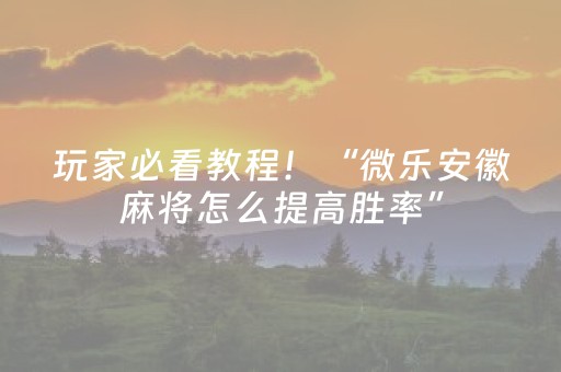 玩家必看教程！“微乐安徽麻将怎么提高胜率”（详细辅助教程）-哔哩哔哩