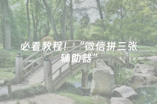 必看教程！“微信拼三张辅助器”（详细开挂教程）-哔哩哔哩
