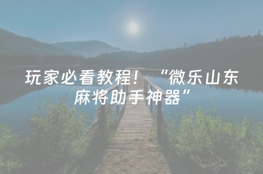 玩家必看教程！“微乐山东麻将助手神器”（详细辅助教程）-哔哩哔哩
