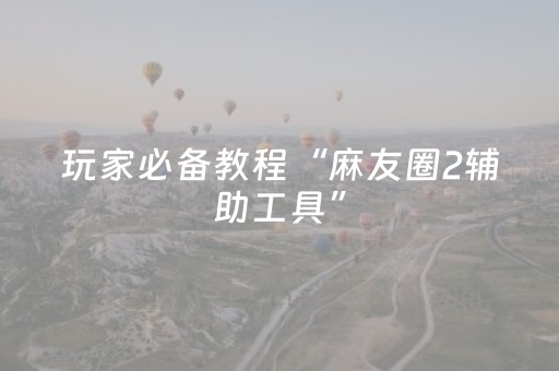 玩家必备教程“麻友圈2辅助工具”（详细透视教程）-哔哩哔哩