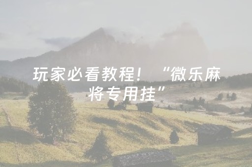 玩家必看教程！“微乐麻将专用挂”（详细辅助教程）-哔哩哔哩