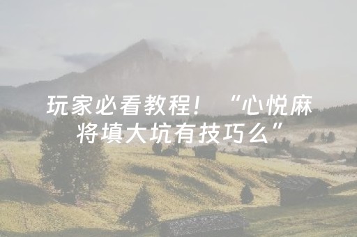 玩家必看教程！“心悦麻将填大坑有技巧么”（详细辅助教程）-哔哩哔哩