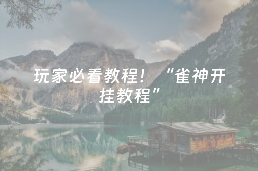 玩家必看教程！“雀神开挂教程”（详细透视教程）-哔哩哔哩