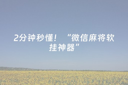 2分钟秒懂！“微信麻将软挂神器”（详细辅助教程）-哔哩哔哩