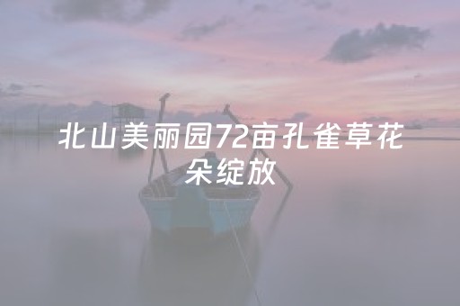 必看盘点揭秘“微信财神十三张外卦辅助器”（开挂辅助器插件)