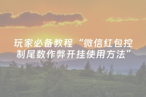 玩家必备教程“微信红包控制尾数作弊开挂使用方法”（详细透视教程）-哔哩哔哩
