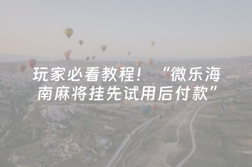 玩家必看教程！“微乐海南麻将挂先试用后付款”（详细透视教程）-哔哩哔哩