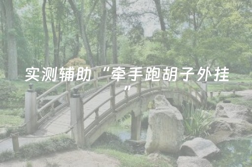 实测辅助“牵手跑胡子外挂”（详细透视教程）-哔哩哔哩