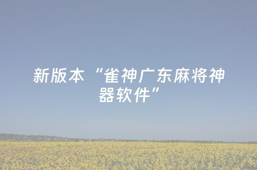 新版本“雀神广东麻将神器软件”（详细透视教程）-哔哩哔哩