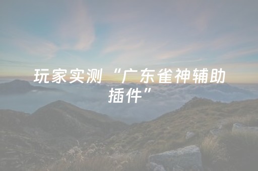 玩家实测“广东雀神辅助插件”（详细透视教程）-哔哩哔哩