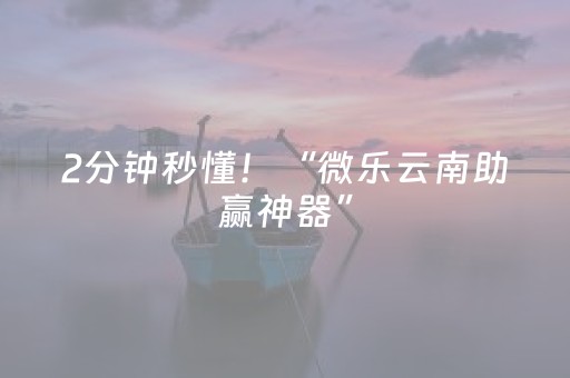 2分钟秒懂！“微乐云南助赢神器”（详细辅助教程）-哔哩哔哩