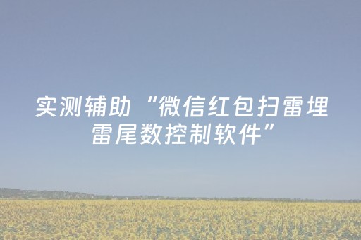 实测辅助“微信红包扫雷埋雷尾数控制软件”（详细透视教程）-哔哩哔哩