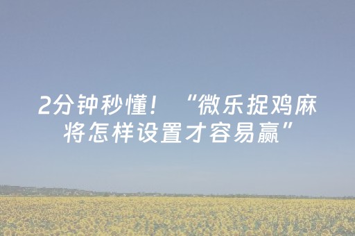 2分钟秒懂！“微乐捉鸡麻将怎样设置才容易赢”（详细辅助教程）-哔哩哔哩