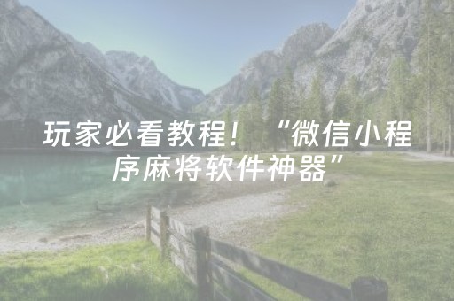 玩家必看教程！“微信小程序麻将软件神器”（详细辅助教程）-哔哩哔哩