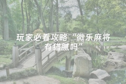 玩家必看攻略“微乐麻将有猫腻吗”（详细透视教程）-哔哩哔哩