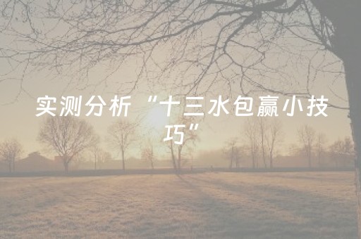 实测分析“十三水包赢小技巧”（详细辅助教程）-哔哩哔哩