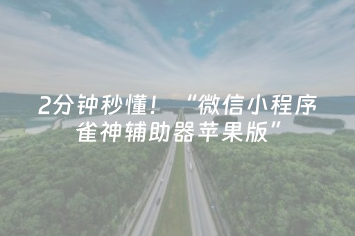 2分钟秒懂！“微信小程序雀神辅助器苹果版”（详细辅助教程）-哔哩哔哩