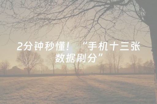 2分钟秒懂！“手机十三张数据刷分”（详细开挂教程）-哔哩哔哩