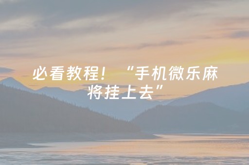 必看教程！“手机微乐麻将挂上去”（详细透视教程）-哔哩哔哩