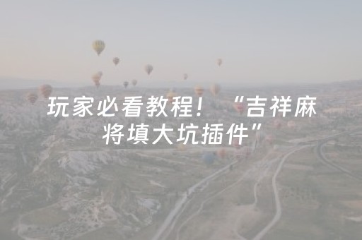 玩家必看教程！“吉祥麻将填大坑插件”（详细辅助教程）-哔哩哔哩