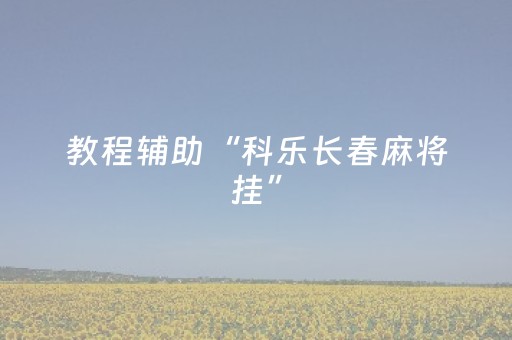 教程辅助“科乐长春麻将挂”（详细透视教程）-哔哩哔哩