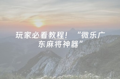 玩家必看教程！“微乐广东麻将神器”（详细透视教程）-哔哩哔哩