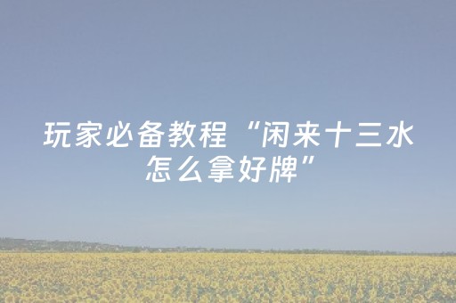 玩家必备教程“闲来十三水怎么拿好牌”（详细透视教程）-哔哩哔哩