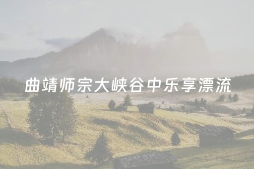 玩家必备攻略“微信小程序跑得快必赢神器”（充会员胜率高)