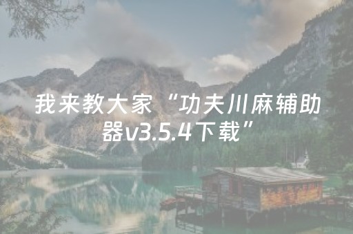 我来教大家“功夫川麻辅助器v3.5.4下载”（详细透视教程）-哔哩哔哩
