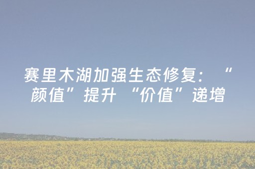 安装程序教程“微信小程序江西麻将怎么让系统发好牌”（骗局大揭秘)