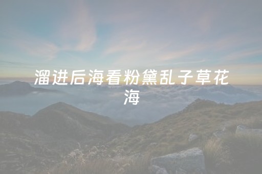 安装程序教程“微信财神十三张辅助器工具”（自建房怎么拿好牌)