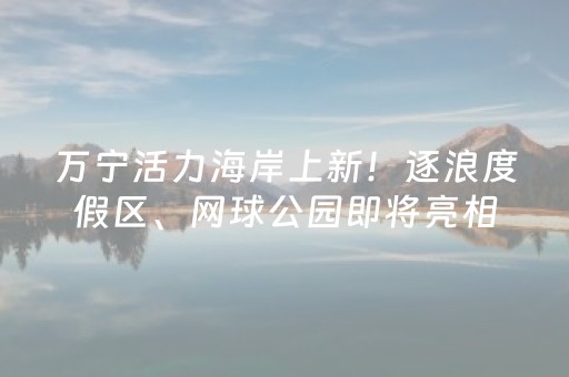 终于懂了“微信小程序保皇如何让系统发好牌”（必赢神器)