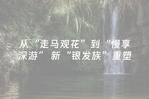 必备教程“微信雀神麻将会员能提高胜率”（怎么才会赢)