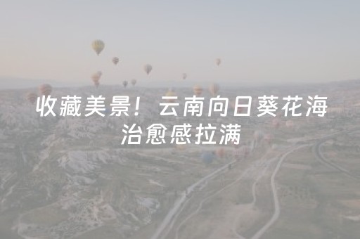 分享玩家攻略“微信小程序河北麻将自建房输赢规律”（辅助挂发牌规律)