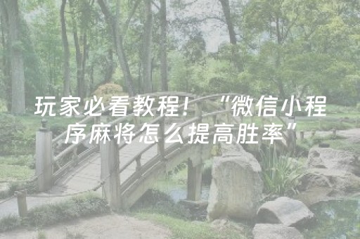 玩家必看教程！“微信小程序麻将怎么提高胜率”（详细辅助教程）-哔哩哔哩