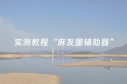 实测教程“麻友圈辅助器”（详细透视教程）-哔哩哔哩