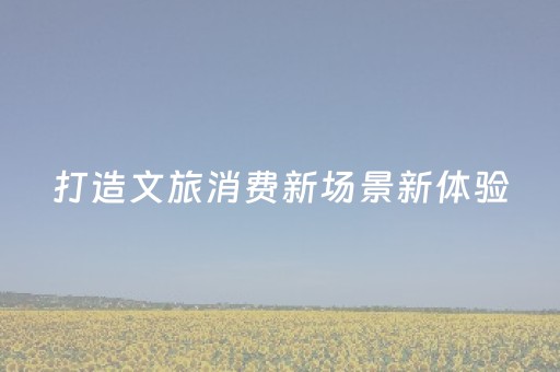 打造文旅消费新场景新体验