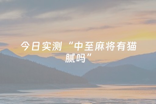 今日实测“中至麻将有猫腻吗”（详细透视教程）-哔哩哔哩