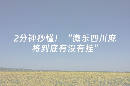 2分钟秒懂！“微乐四川麻将到底有没有挂”（详细开挂教程）-哔哩哔哩