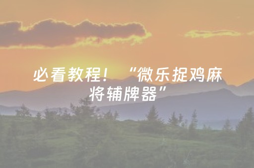 必看教程！“微乐捉鸡麻将辅牌器”（详细辅助教程）-哔哩哔哩