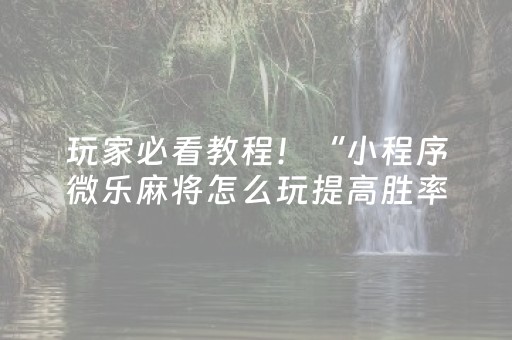 玩家必看教程！“小程序微乐麻将怎么玩提高胜率”（详细辅助教程）-哔哩哔哩