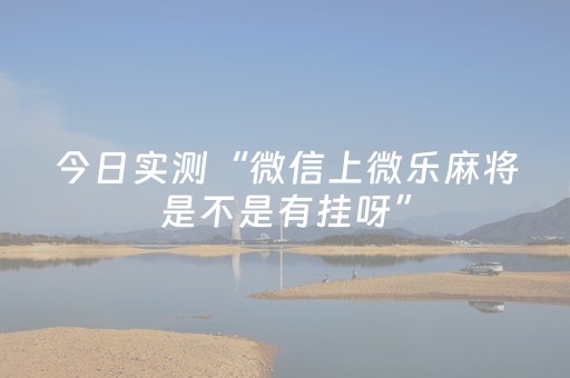 今日实测“微信上微乐麻将是不是有挂呀”（详细透视教程）-哔哩哔哩