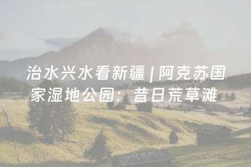 超绝软件佳作!哈灵麻将外卦神器免费版(为什么总是输)