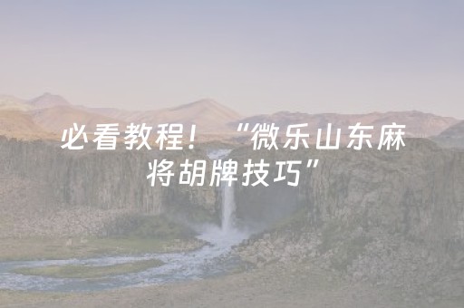 必看教程！“微乐山东麻将胡牌技巧”（详细透视教程）-哔哩哔哩