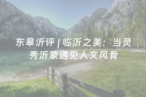 东皋沂评 | 临沂之美：当灵秀沂蒙遇见人文风骨